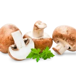 CHAMPIGNONS